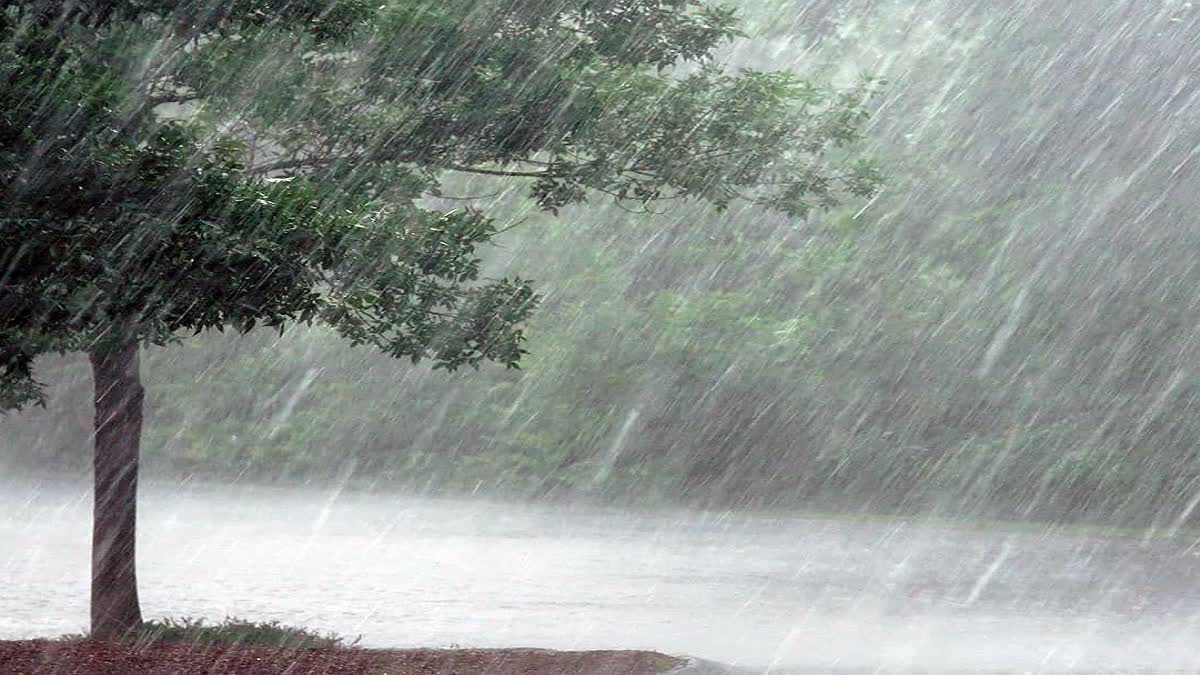 बारिश (बरसात) के मौसम में मौसम की नमी और वातावरण में बैक्टीरिया-फंगस की अधिकता के कारण हमारा पाचन तंत्र थोड़ा कमजोर हो जाता है। ऐसे में सही खान-पान रखना बेहद ज़रूरी होता है।