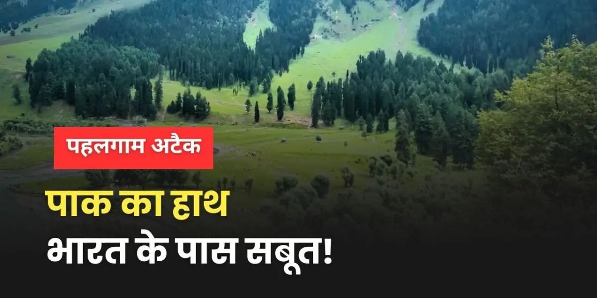 हमले में पाकिस्तान का हाथ?
