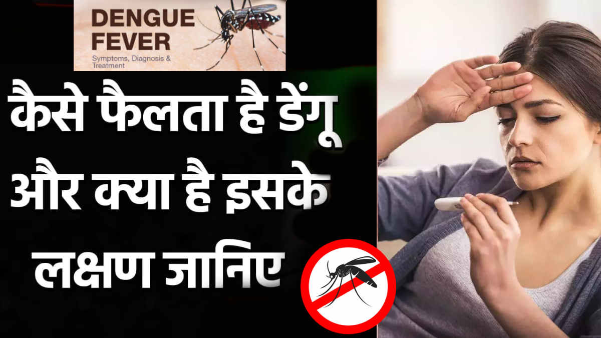 डेंगू बुखार में यह ज्ञात होना सबसे आवश्यक है कि एक बार जब कोई व्यक्ति डेंगू बुखार से ठीक हो जाता है, तो वह विशिष्ट वायरस से प्रतिरक्षित होता है, लेकिन जो और अन्य तीन प्रकार के वायरस हैं उस से प्रतिरक्षित नहीं रहता है। यानि यदि आप दूसरी, तीसरी या चौथी बार संक्रमित होते हैं तो गंभीर डेंगू बुखार, जिसे डेंगू रक्तस्रावी बुखार के रूप में भी जाना जाता है, के विकसित होने की संभावना बढ़ सकती है।डेंगू तीन प्रकार के बुखार होते हैं, जिनसे व्यक्ति को खतरा होता है, जो इस प्रकार हैं – हल्का डेंगू बुखार, डेंगू रक्तस्रावी बुखार और डेंगू शॉक सिंड्रोम। आगे हम जानते हैं कि ,क्या अंतर है डेंगू के इन अलग -अलग बुखार में और कितना खतरनाक है ये बुखार हल्का डेंगू बुखार - जैसा कि इसके नाम से ही पता चलता है कि यह थोड़ी कम जटिलताओं वाला बुखार होगा | इस बुखार के लक्षण मच्छर के काटने के एक हफ्ते के बाद देखने को मिलते हैं किन्तु कई बार इसमें भी गंभीर या घातक जटिलताएं शामिल हो सकते हैं। डेंगू रक्तस्रावी बुखार - इस बुखार में शुरुआत के लक्षण हल्के ही होते हैं, लेकिन धीरे-धीरे कुछ दिनों में यह बहुत ही गंभीर हो सकते हैं। डेंगू शॉक सिंड्रोम - यह डेंगू बुखार का सबसे गंभीर रूप है और यहां तक कि यह मौत का कारण भी बन सकता है।